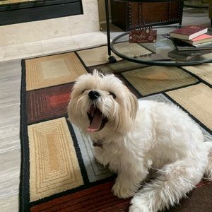 Meet your Posher, Monica